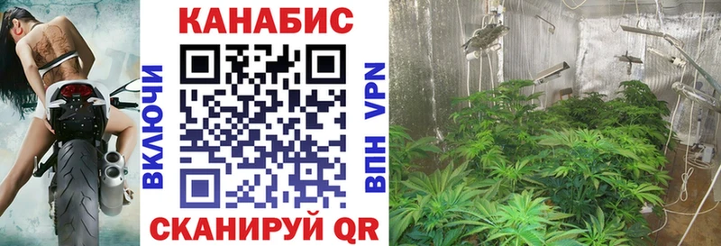 Что такое Брянск ГАШ АМФЕТАМИН A-PVP Меф мяу мяу КОКАИН Конопля