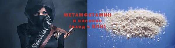 прущие грибы Медногорск