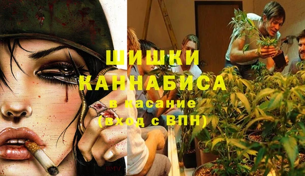 амф Алексин