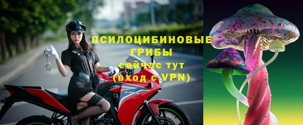 амф Алексин