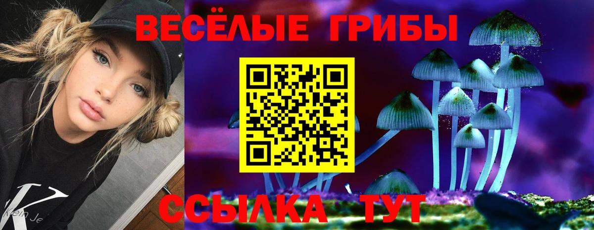 Псилоцибиновые грибы Psilocybe  Вход с VPN  Галлюциногенные грибы GOLDEN TEACHER  Брянск 